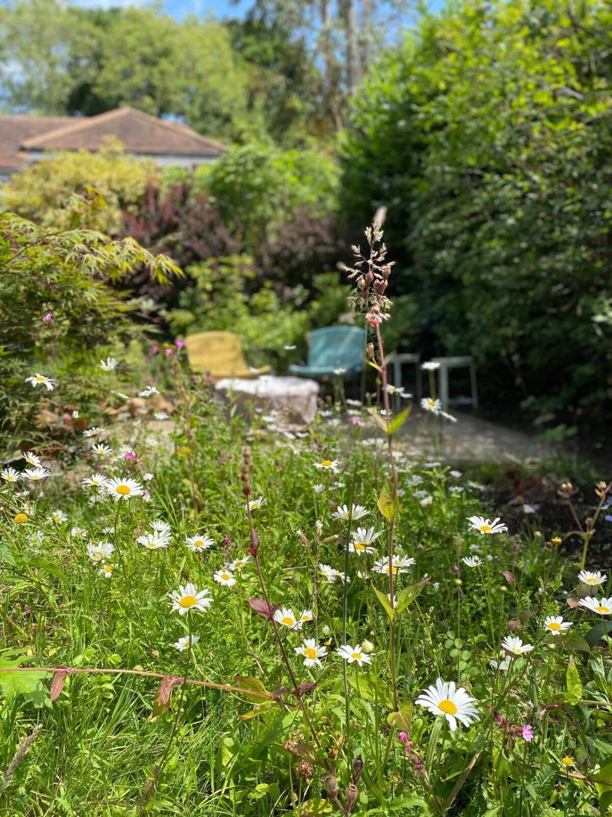 Villa The Tool Shed Nestled In Idyllic Countryside Linchmere Exterior foto